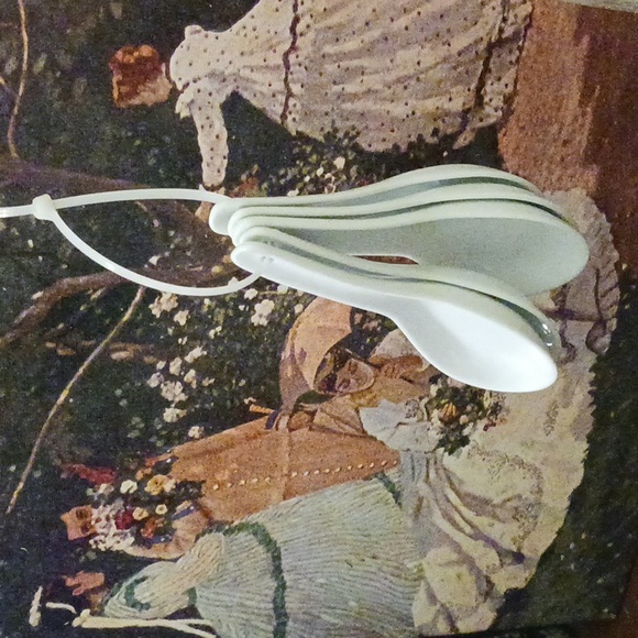 🥣Pier 1 Asian noodle bowl soup spoons🥄🥥🍅A Wonderful ☕️ Gift Giving Item.♥️ - Picture 4 of 4